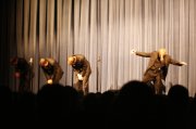 Show (221)